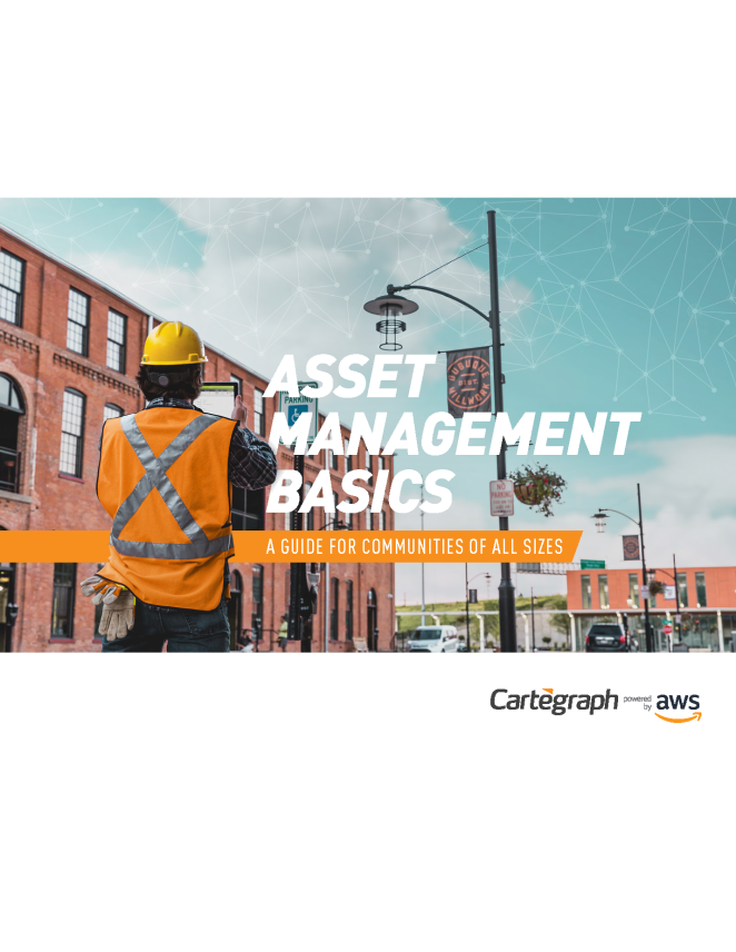 a cover image of Asset Management Basics