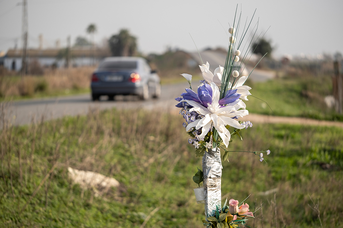 Flowers placed roadside in memorial.