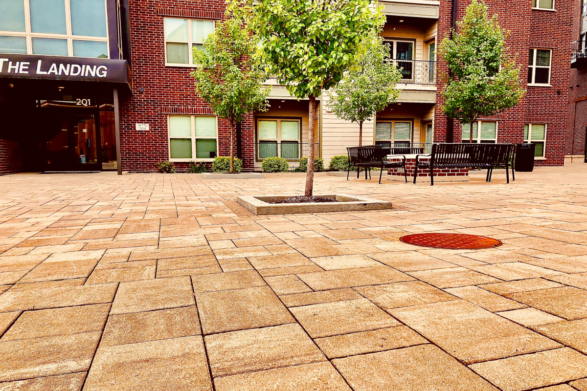 A porous paving patio with trees and benches.