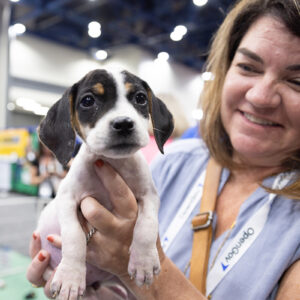 PWX26_D1_0604____PW Paws
