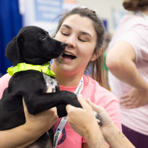 PWX26_D2_0501____ PW Paws