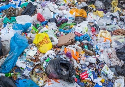 solid waste