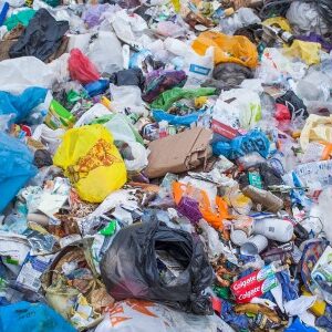 a photo of solid waste