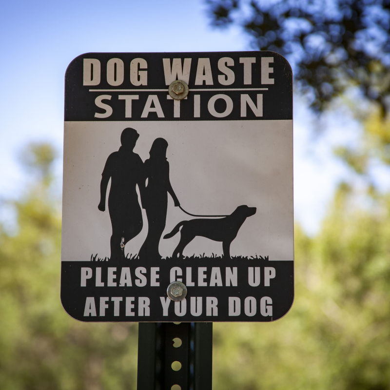 A sign that reads: "Dog Waste Station: Please Clean Up After Your Dog"