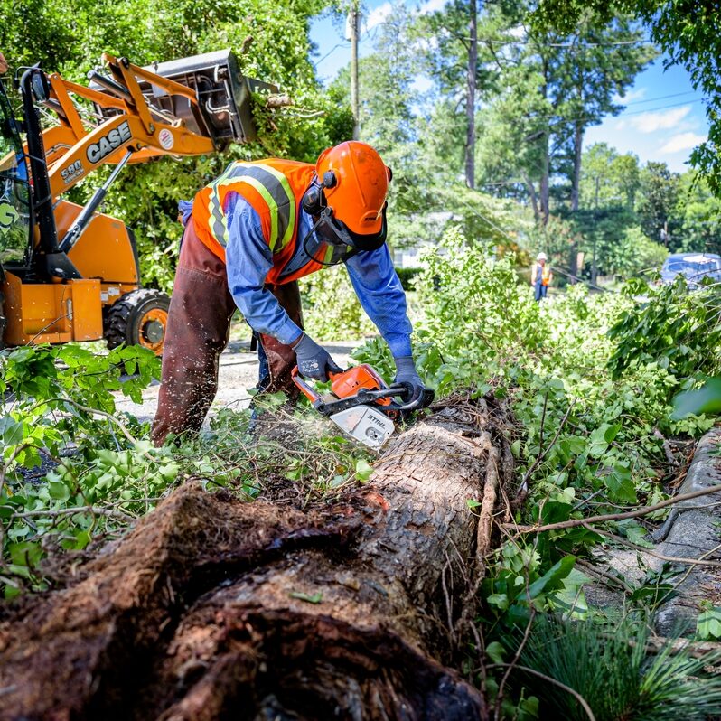 A public works professional in an orange vest and helmet uses a chainsaw on a fallen tree.