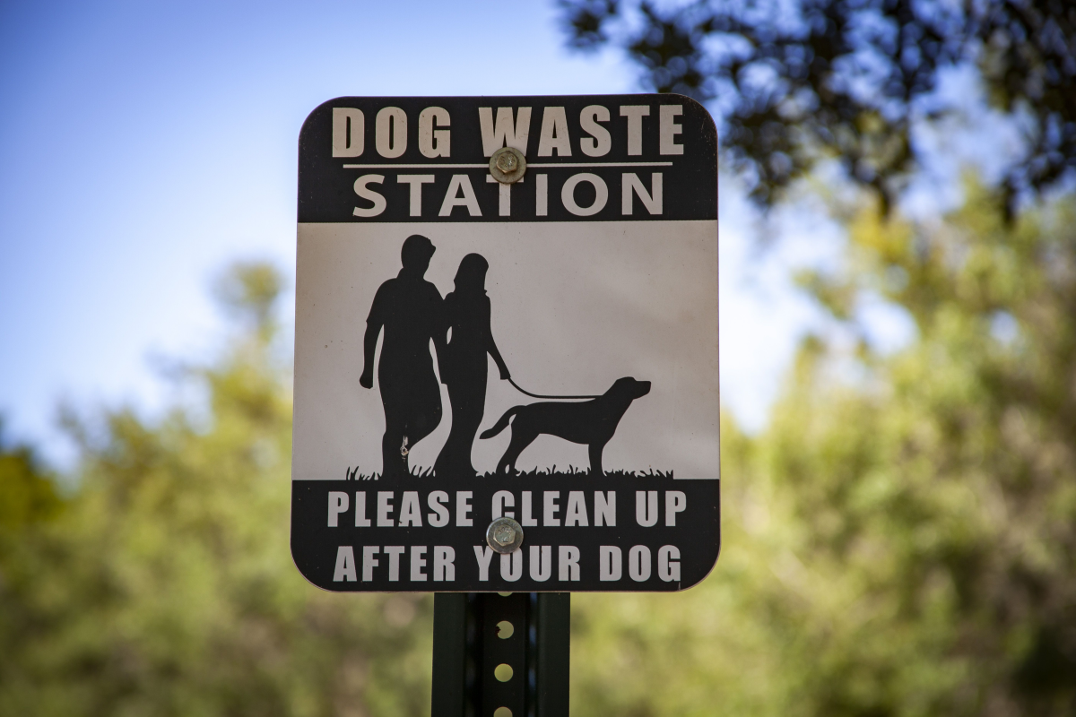 A sign that reads: "Dog Waste Station: Please Clean Up After Your Dog"