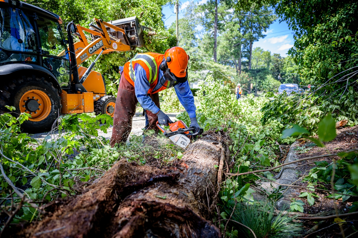 A public works professional in an orange vest and helmet uses a chainsaw on a fallen tree.
