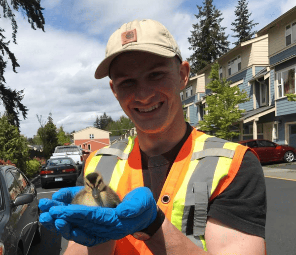 Happy worker holding a duck